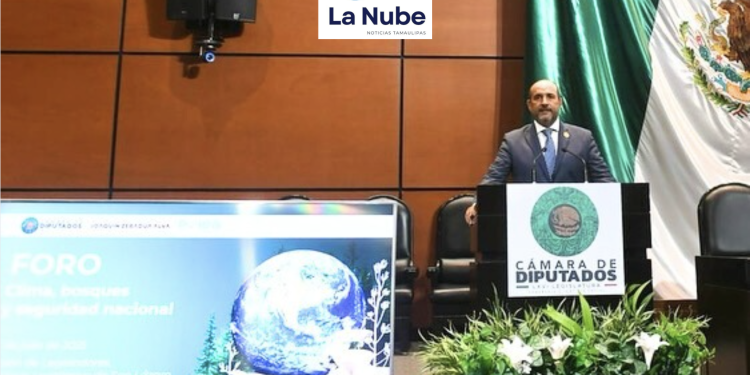 Tamaulipas se Planta en San Lázaro: Pepe Schekaibán y el Despertar Climático en la Frontera